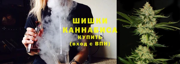 мяу мяу кристалл Ельня