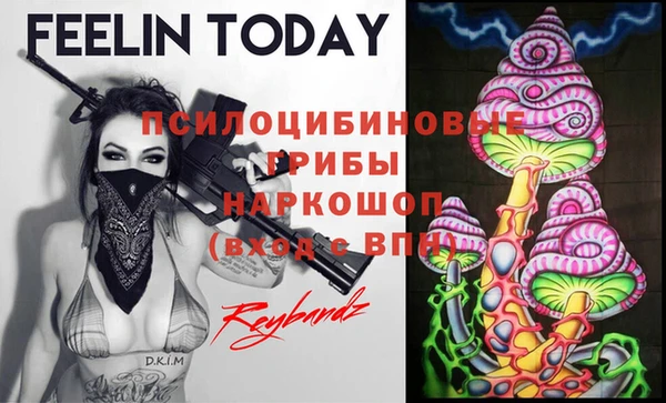 шишки Володарск