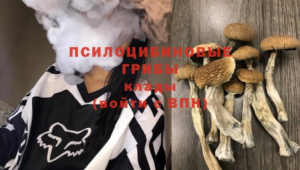 шишки Володарск
