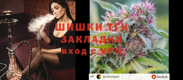 шишки Володарск